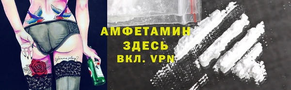 стаф Пересвет
