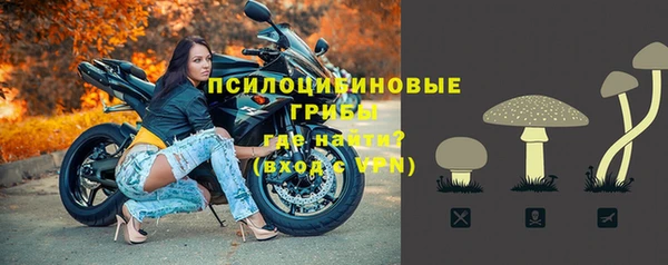 2c-b Осташков