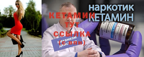 стаф Пересвет
