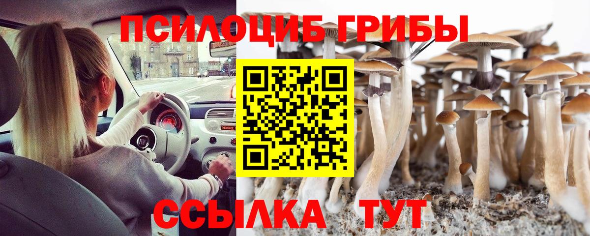 Псилоцибиновые грибы мухоморы  Стрежевой 